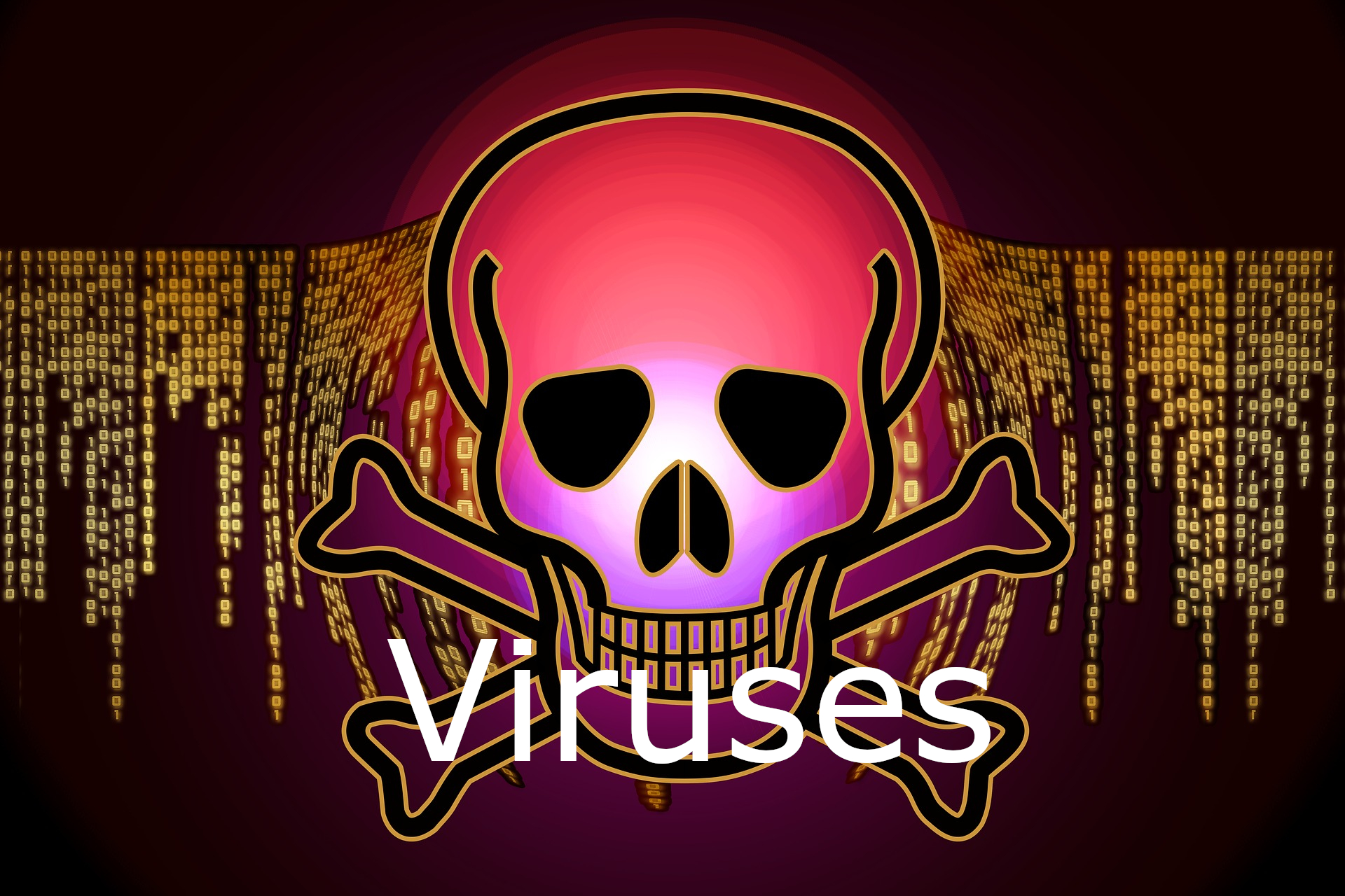 Viruses